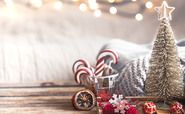 Joyeuses fêtes de fin d'année !